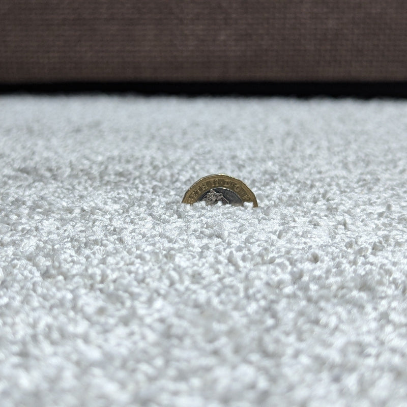 Lance Platinum Carpet product-4