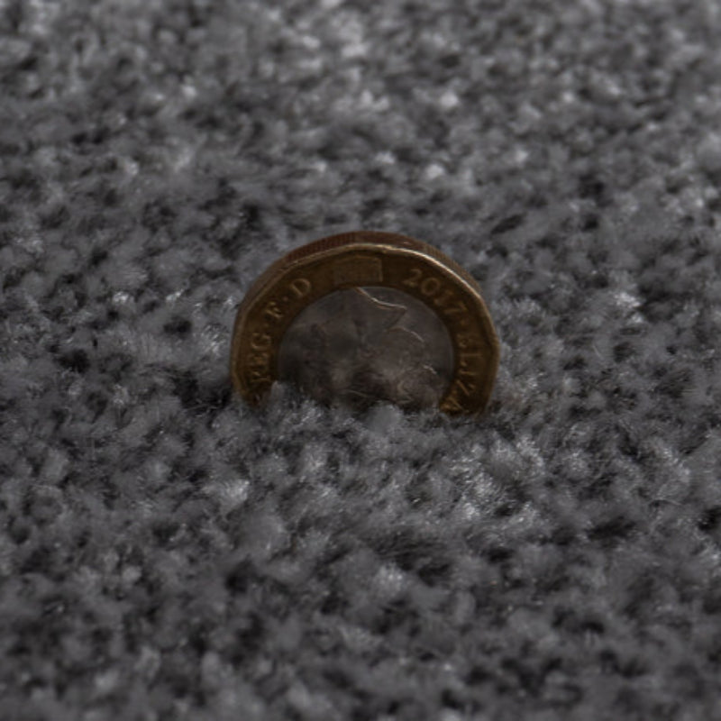Campiro Saxony Grey Carpet product-3