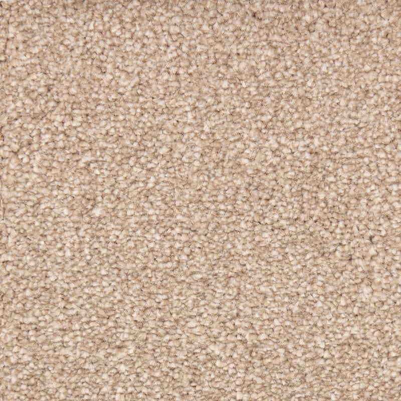 Katon Fawn Brown Thick Carpet product-1