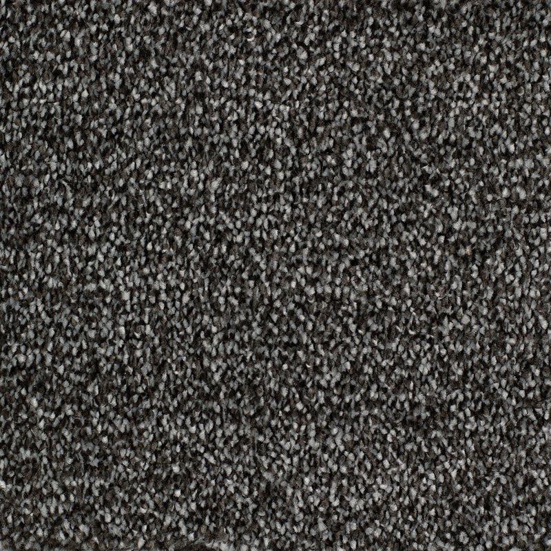 Slate Carpet Flooring