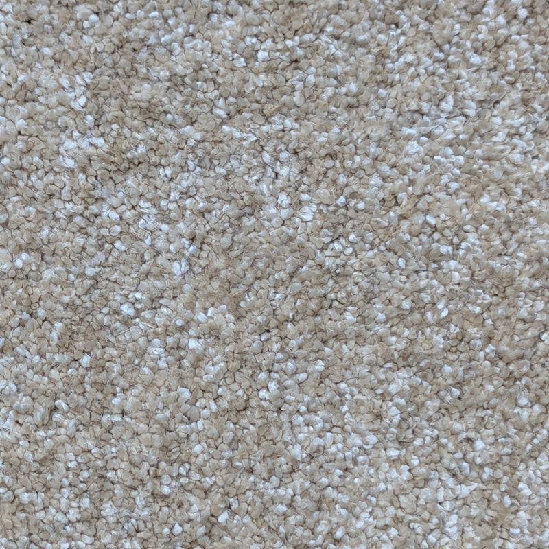 Lance Latte Saxony Carpet