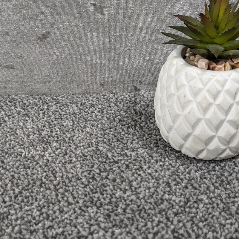 SCS Supreme Saxony Silver Grey Thick Carpet SCS Supreme Saxony Silver Grey Thick Carpet