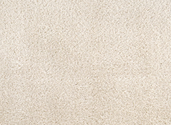 Beige Carpets