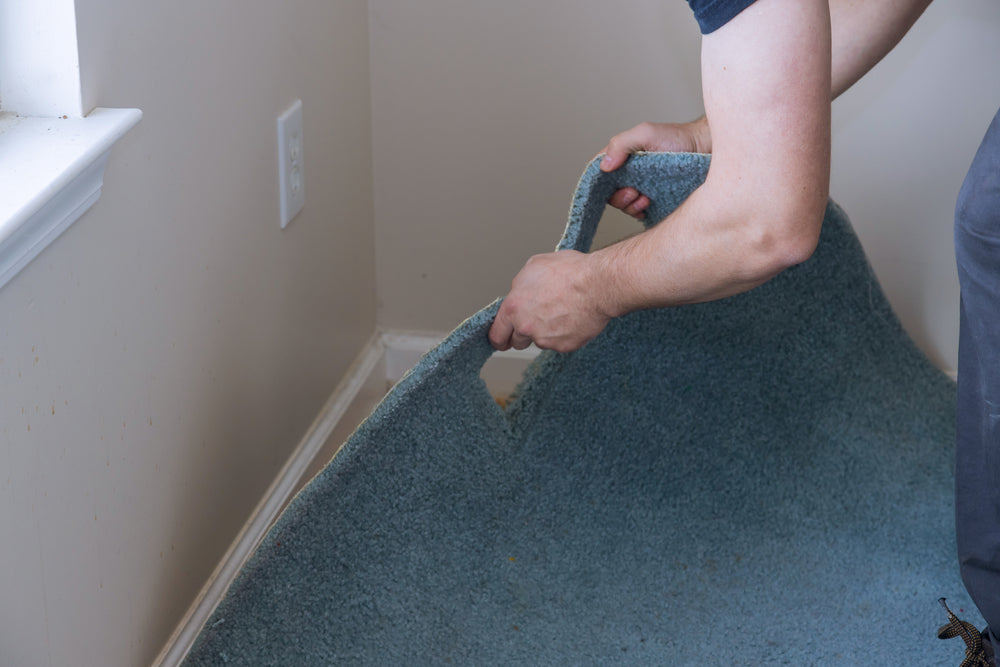 Carpet Replacement