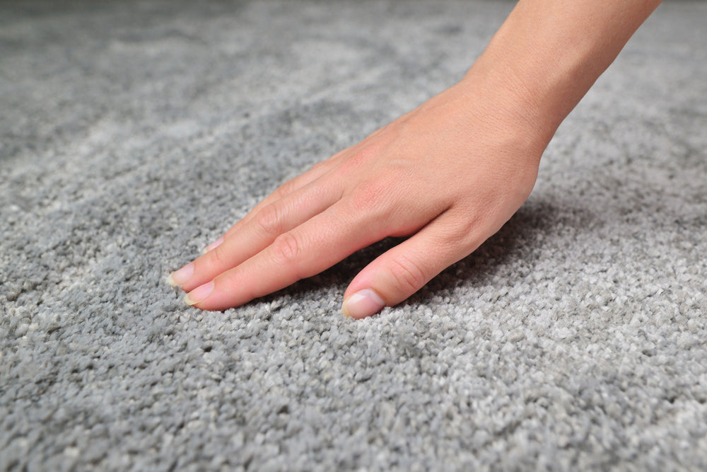 Buy Soft Carpet