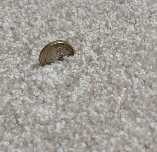 What Is Carpet Density and Why Does It Matter?
