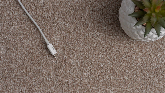 Best Carpets for the Living Room