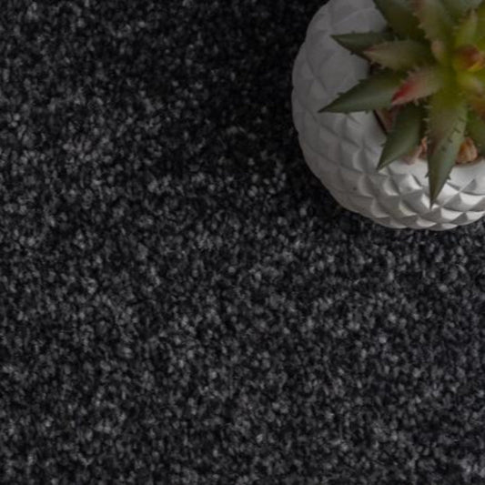 Dark Grey Carpet Online: How to Choose the Right Carpet for Your Home