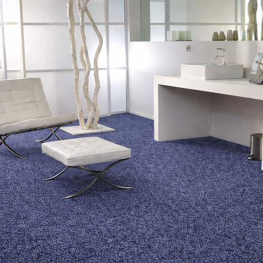 Living Room Carpet Blue Color