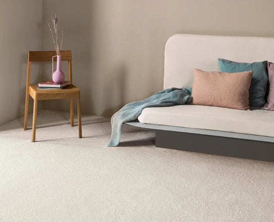Thick Soft Carpet