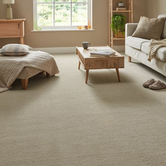 Soft Thick Carpet