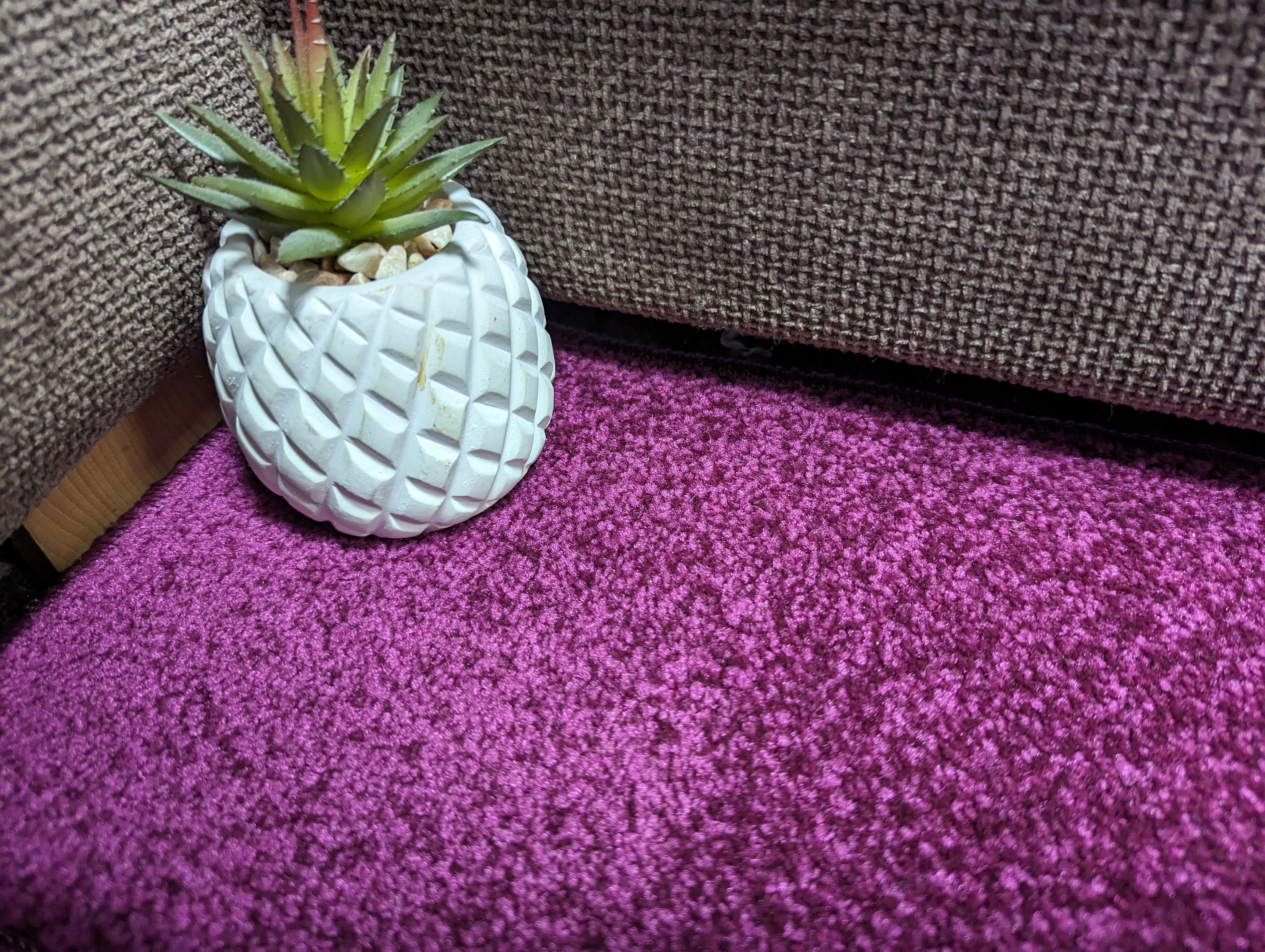 INVI Plum Purple Carpet