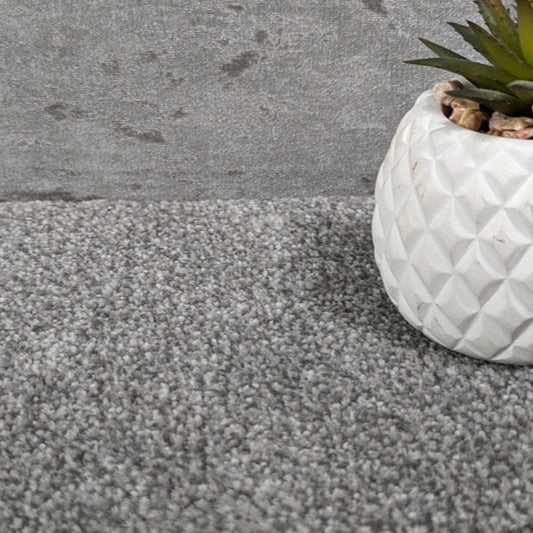 SCS Olympia Heritage Saxony Grey Carpet