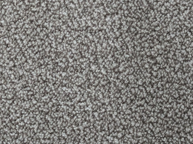 Affordable Neutral Carpet