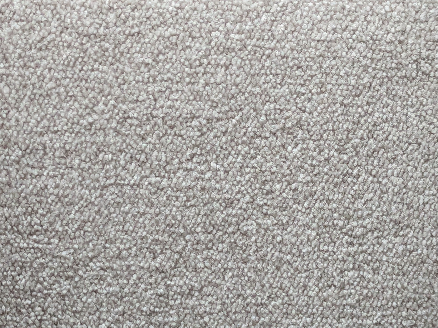 Affordable Cream Carpet