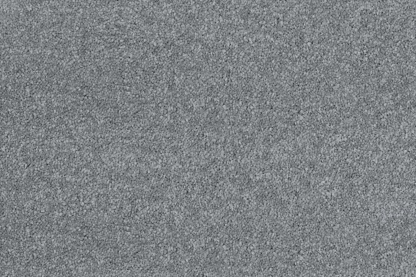 Ash Gray Carpet 