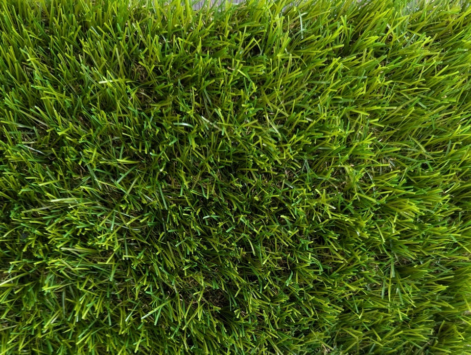 Augus Artificial Grass