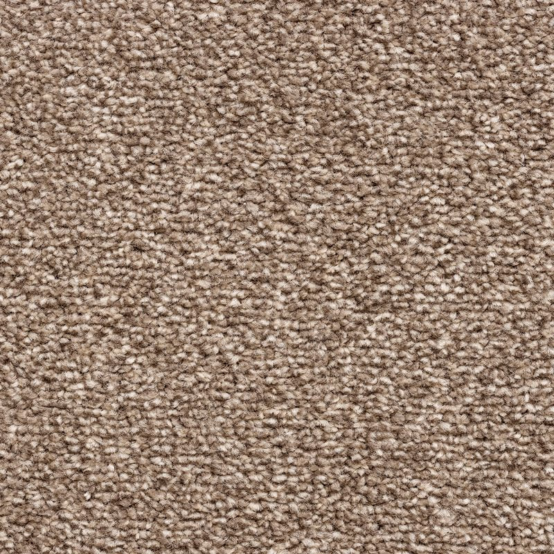 Haywood Twist Carpet Barn