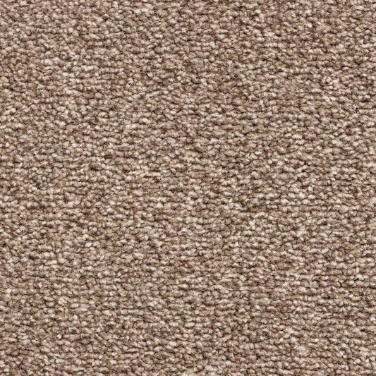 Baywood Barn Carpet Flooring