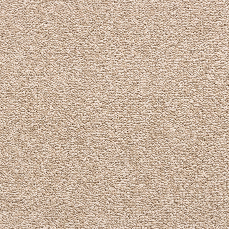 Perro Biscuit Colour Carpet