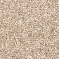Perro Biscuit Colour Carpet