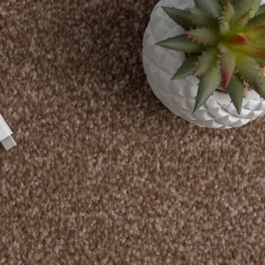 Campiro Saxony Brown Carpet