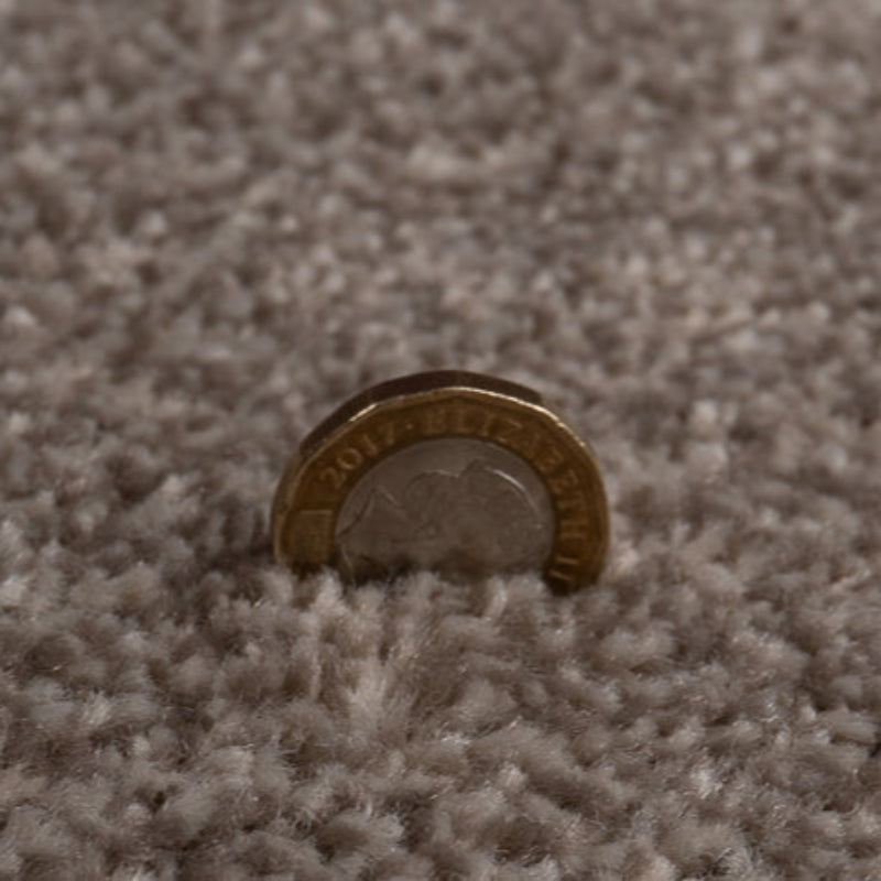 Campiro Saxony Thick Neutral Hardwearing Carpet