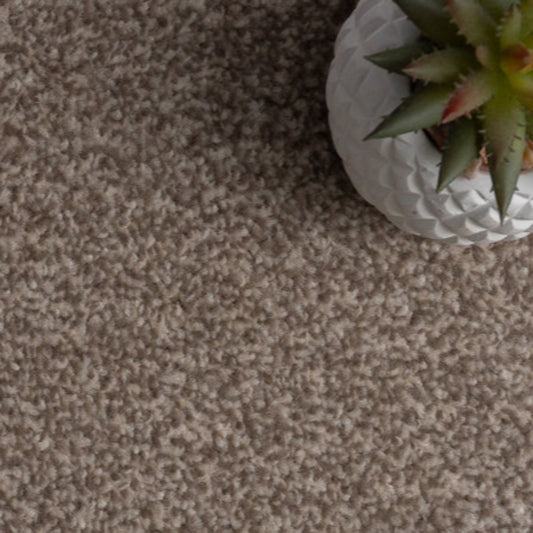 Campiro Saxony Thick Neutral Hardwearing Carpet