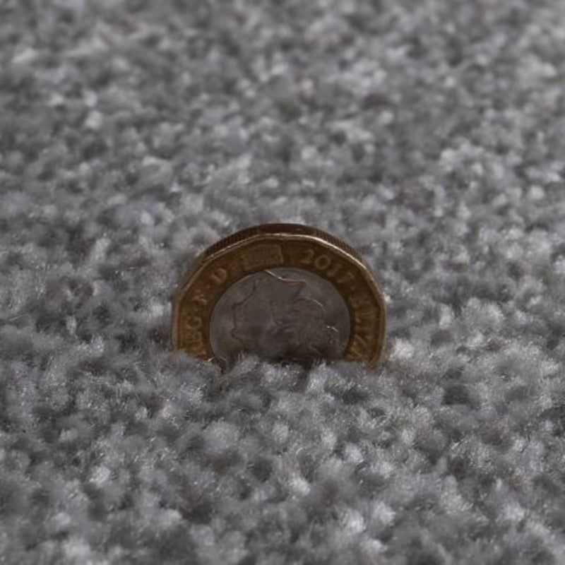 Campiro Saxony Silver Carpet