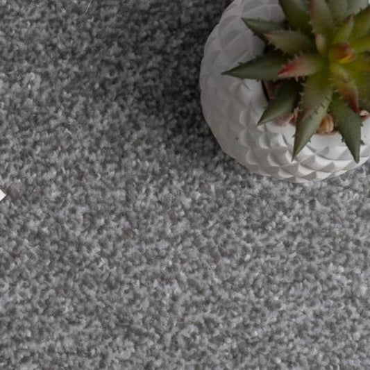 Campiro Saxony Silver Carpet