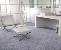 SCS Canaries Thick Carpet Platinum Grey