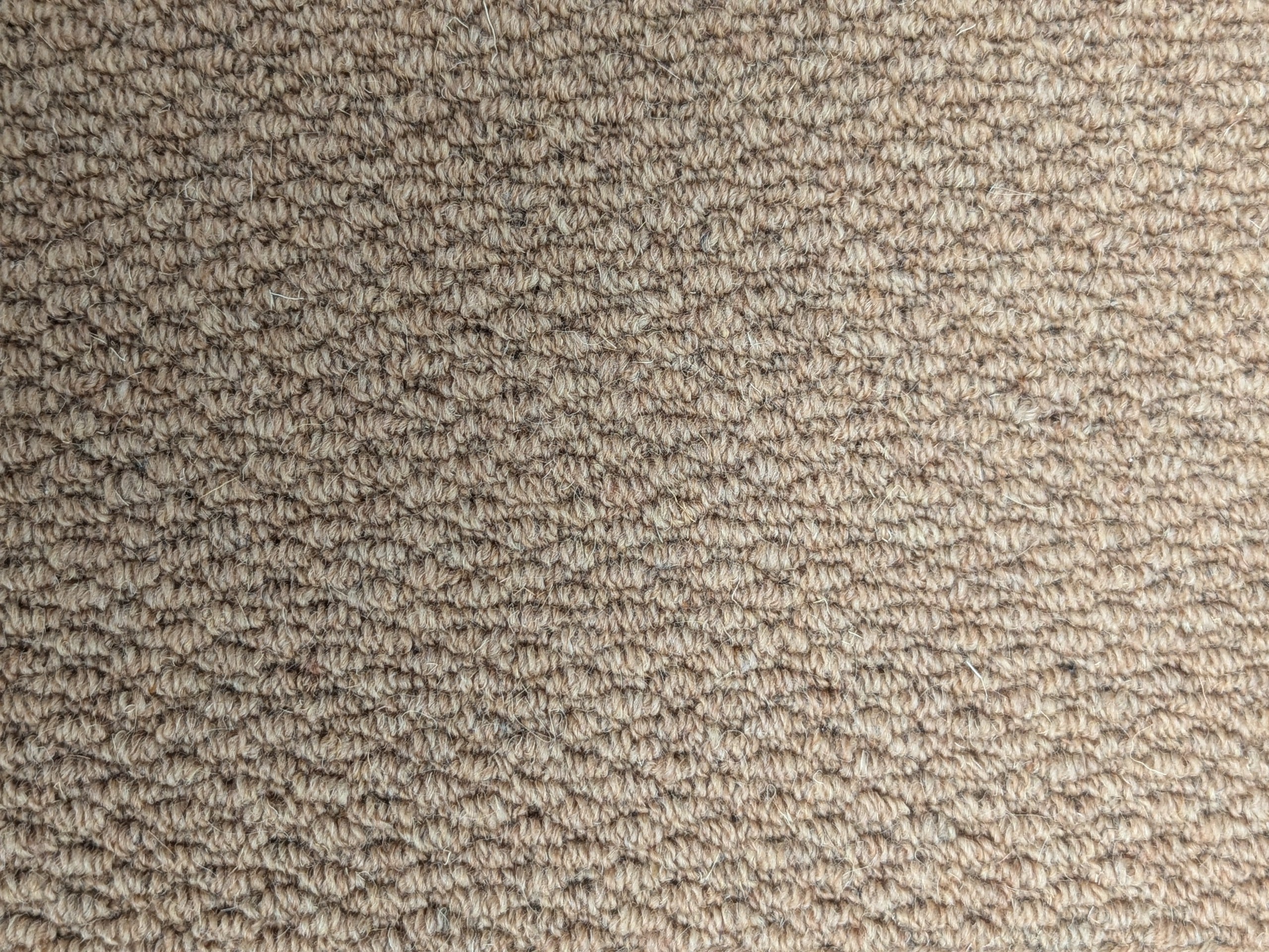 Loop Carpets