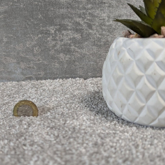 Cosmos Silver Grey Carpet