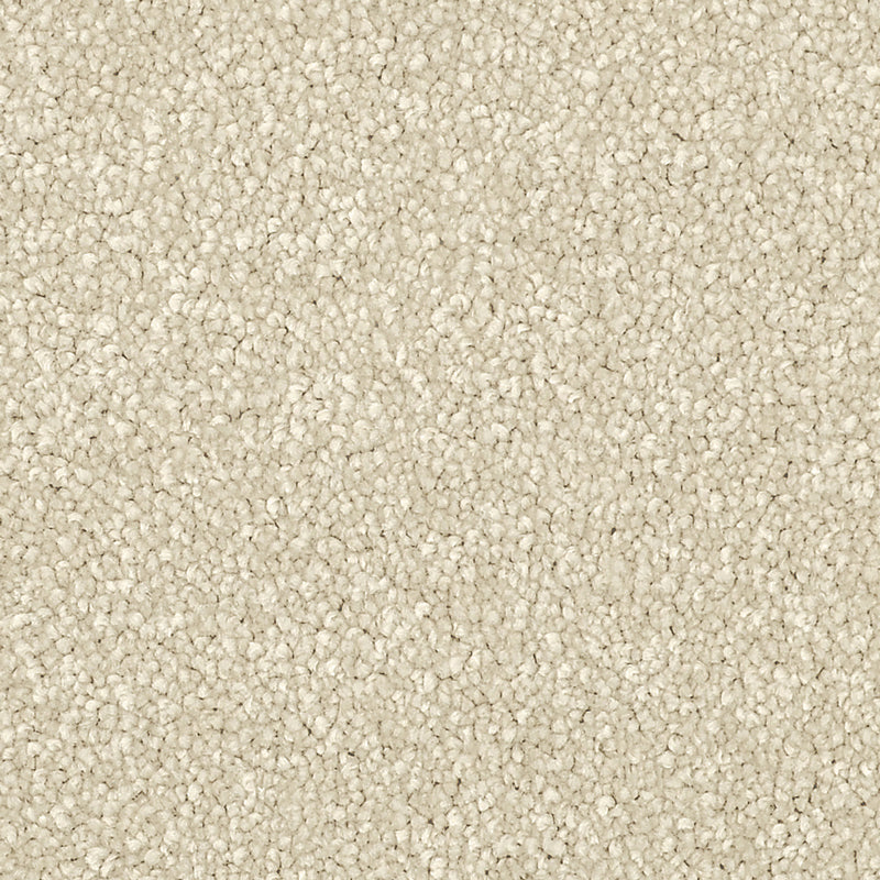 Cream Soft Thick Carpet