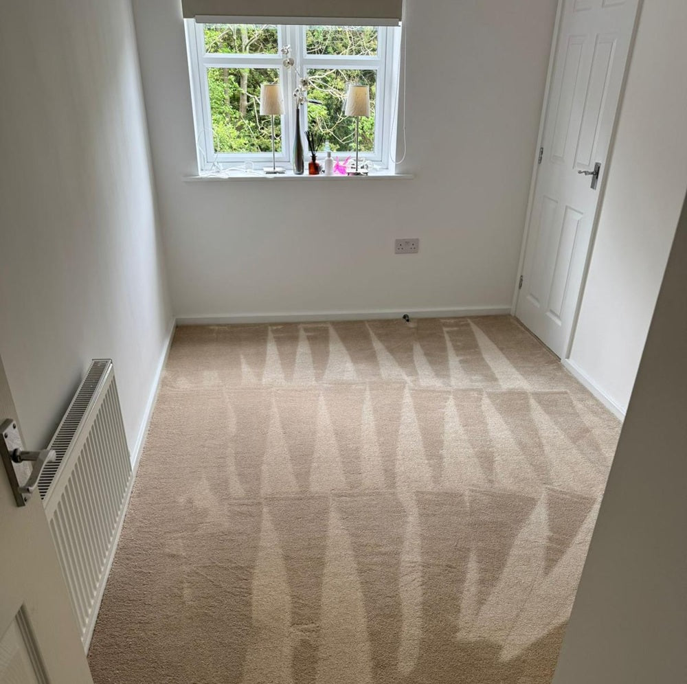 Dreams Creme 20mm Thick Carpet