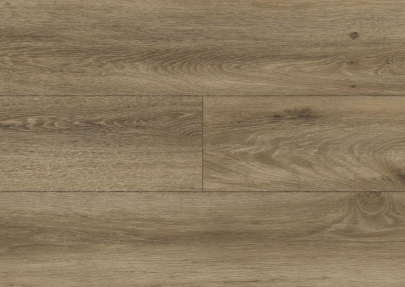 Larysa Oak 5384