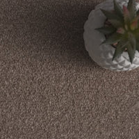 Emperor Linen Neutral Saxony Carpet