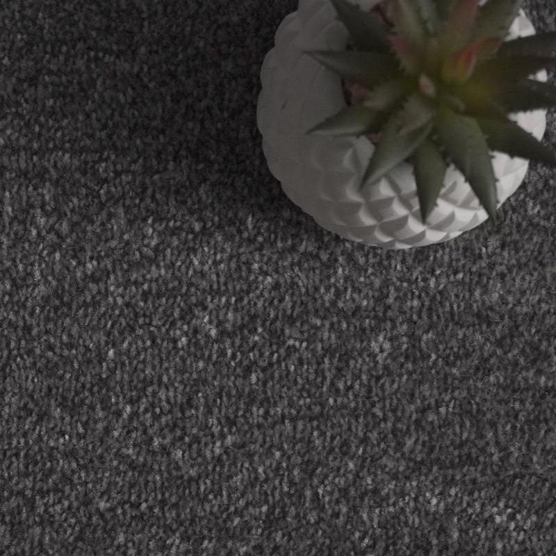 Emperor Starlight Saxony Black Carpet