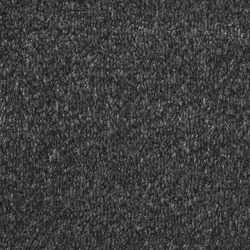 Emperor Starlight Saxony Black Carpet