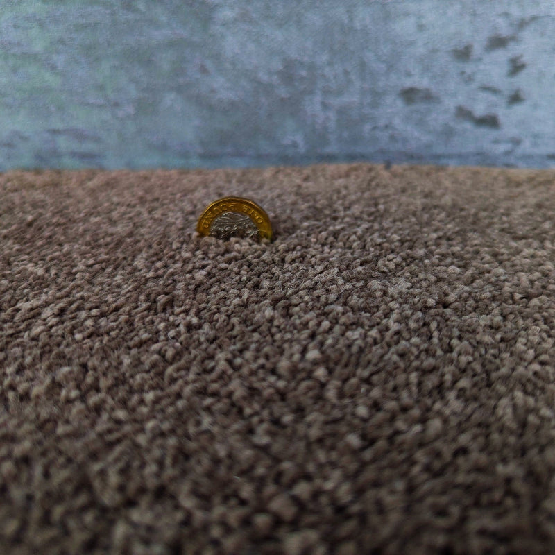 Envy Truffle Saxony Carpet