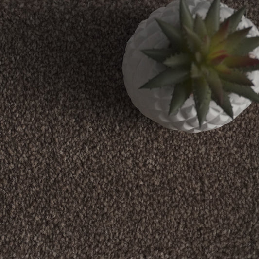 Flynn Oak Brown Carpet