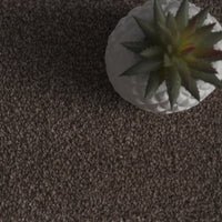 Flynn Oak Brown Carpet