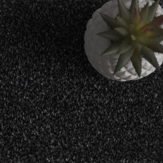 Flynn Starlight Black Carpet