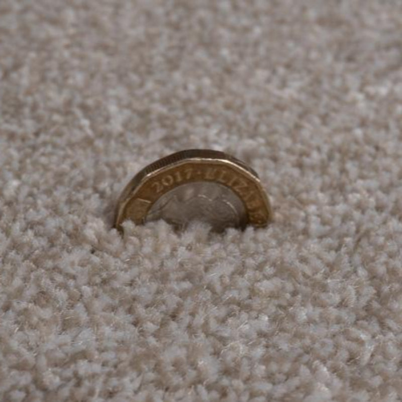 Grangewood Ermine Saxony Thick Carpet