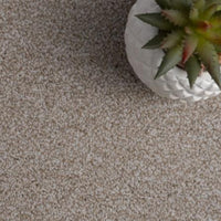 Grangewood Ermine Saxony Thick Carpet