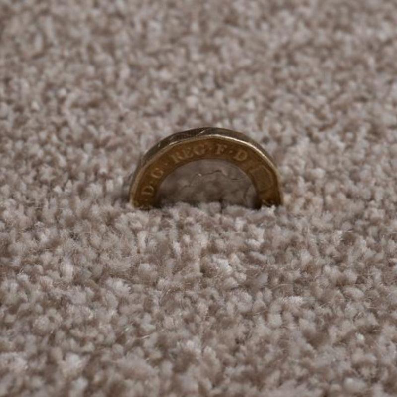 Grangewood Latte Hardwearing Carpet