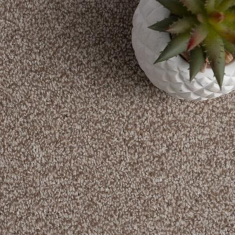Grangewood Latte Hardwearing Carpet