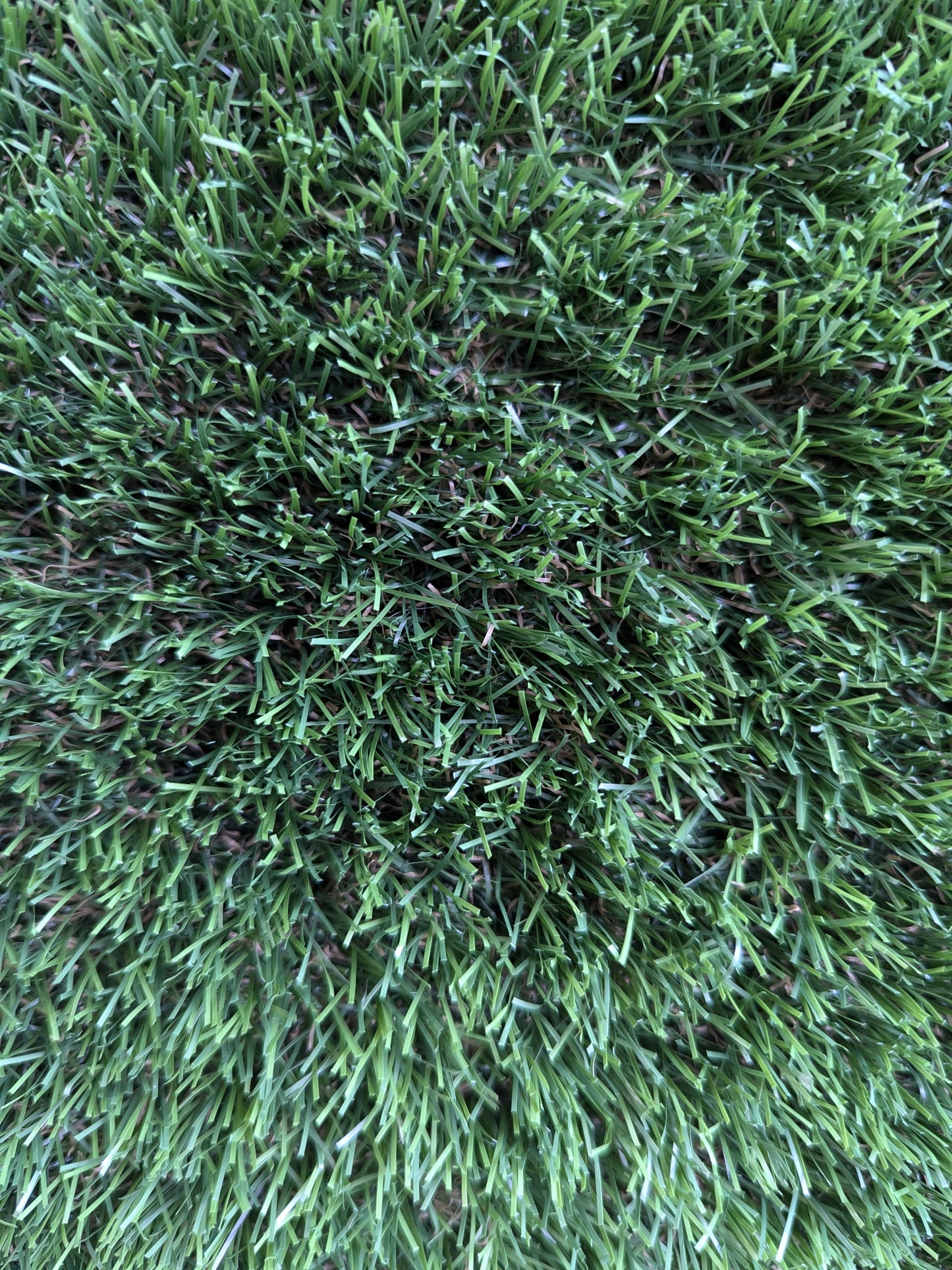 Haven Artificial Grass