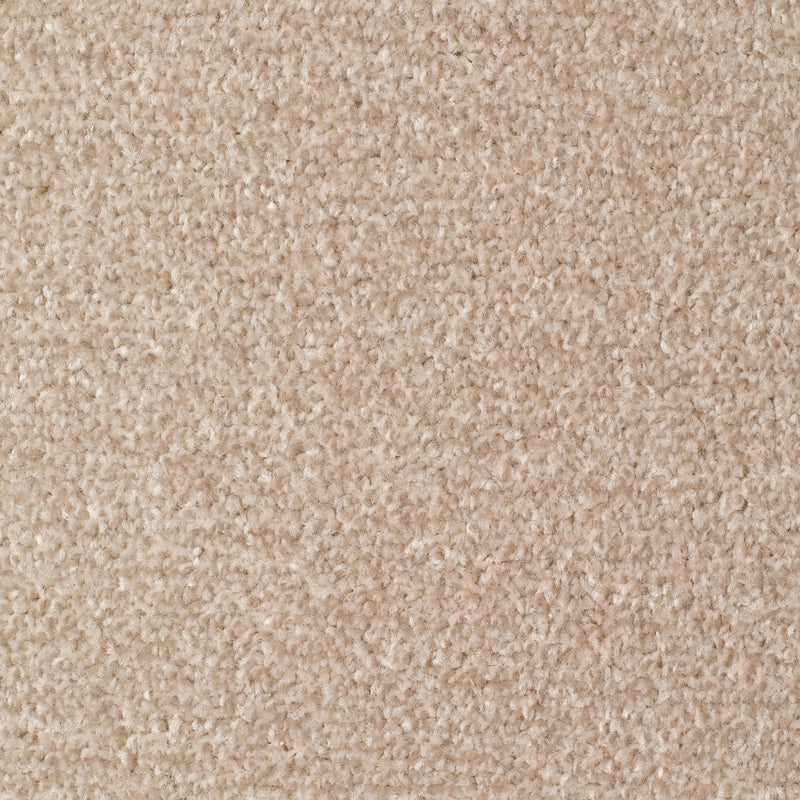 Hibex Latte Carpet