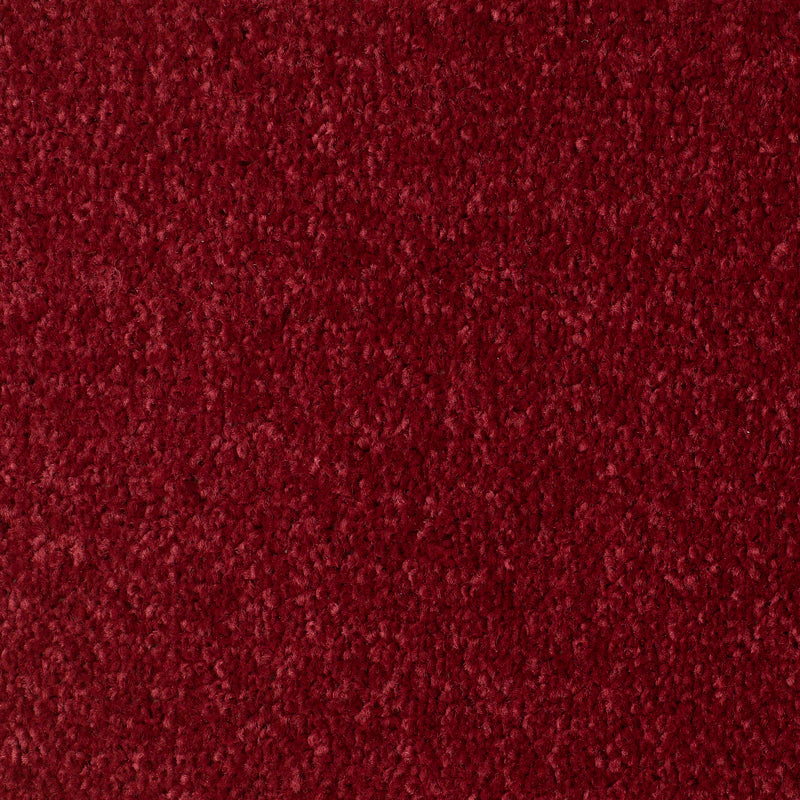 Red Carpet